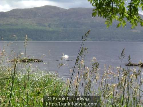 Lough Gill, County Sligo